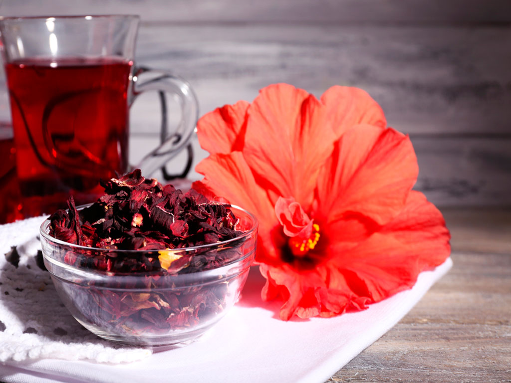 Conhe a os benef cios do hibisco estilo sugar